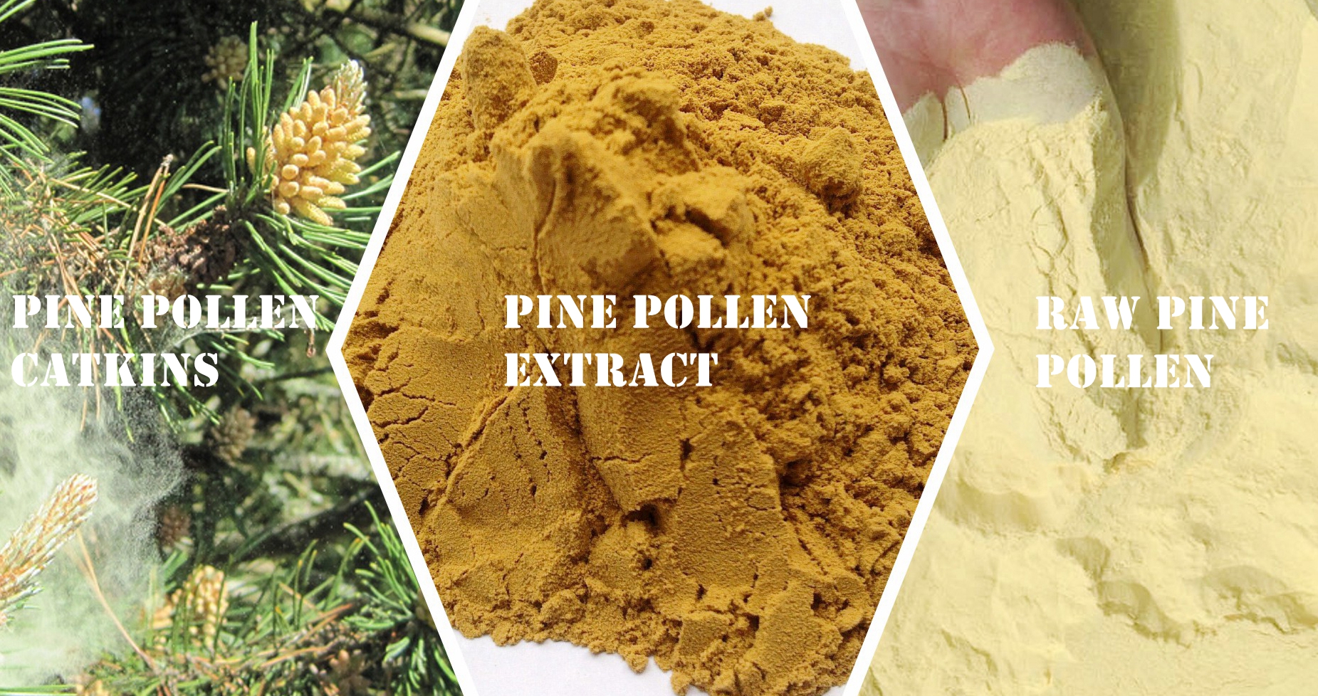 PINE POLLEN EXTRACT