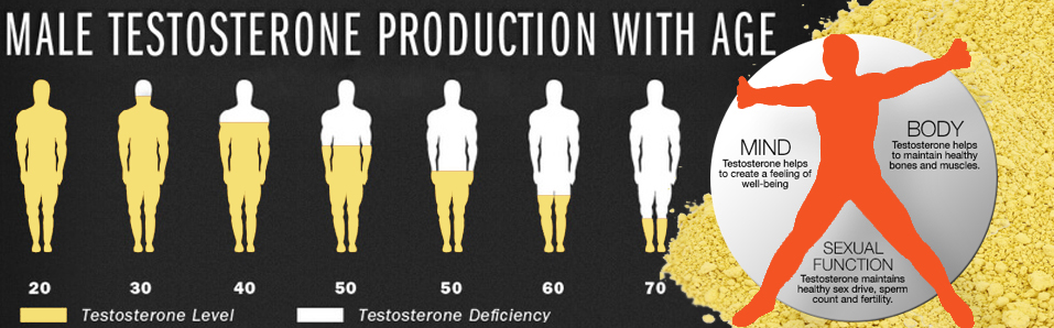 Pine pollen and testosterone-TCM Adaptogen Warehouse